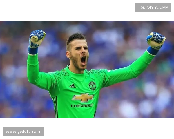 曼联官方宣布B费当选年度最佳球员 追平C罗德赫亚纪录