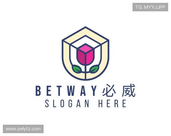 关于Betway必威西汉姆联